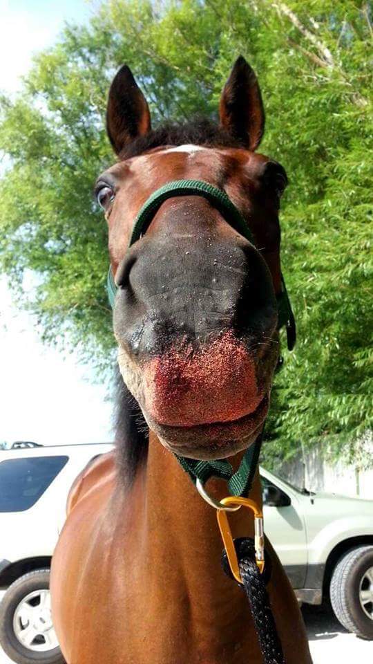 Testing department photo